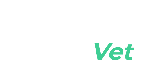 BSM Vet Logo